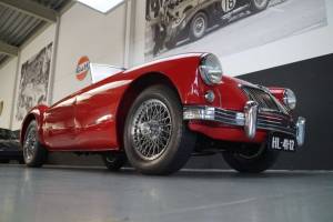 Bild 17/50 von MG MGA 1500 (1956)