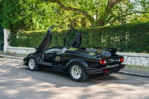 Imagen 13/51 de Lamborghini Countach 25th Anniversary (1990)