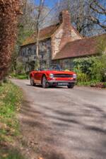 Immagine 7/41 di Triumph TR 6 PI (1972)