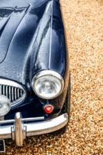 Imagen 12/26 de Austin-Healey 3000 Mk II (BN7) (1962)