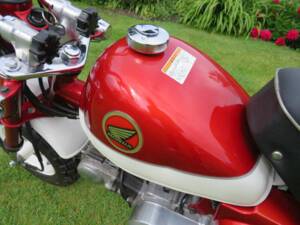 Immagine 14/36 di Honda Z 50 Monkey (2000)
