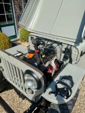Obraz 16/20 pojazdu Willys CJ-3B (1956)