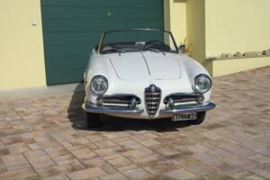 Bild 3/30 von Alfa Romeo Giulietta Spider (1961)
