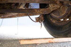 Image 133/134 of Ford V8 (1937)