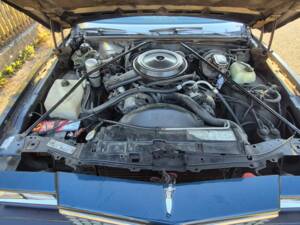 Bild 8/13 von Chevrolet Monte Carlo (1979)