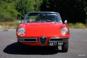 Afbeelding 12/37 van Alfa Romeo 1600 Spider Duetto (1966)