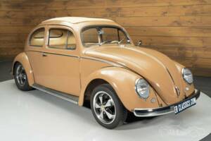 Immagine 3/19 di Volkswagen Maggiolino 1200 Export "Oval" (1957)
