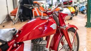 Image 11/14 de Triumph (TWN) BD 250 (1900)