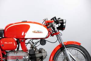 Immagine 21/50 di Aermacchi Ala Verde (1964)