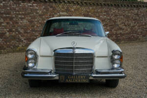 Image 48/50 of Mercedes-Benz 280 SE 3,5 (1970)