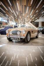 Immagine 16/50 di Austin-Healey 100/4 (BN1) (1954)