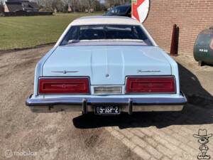 Afbeelding 9/29 van Ford Thunderbird (1979)