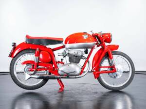 Image 5/50 of MV Agusta DUMMY (1957)