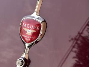 Immagine 14/40 di Jaguar XK 140 DHC (1957)