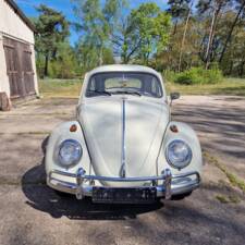 Bild 10/140 von Volkswagen Käfer 1200 Export "Dickholmer" (1963)