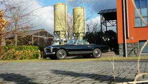 Image 28/29 de Mercedes-Benz 230 SL (1965)