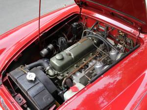 Bild 14/17 von Austin-Healey 3000 Mk I (BT7) (1959)