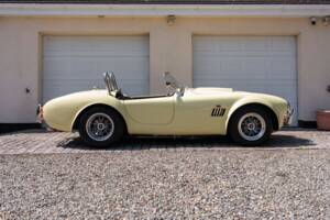 Bild 8/51 von AC Cobra 289 (1999)