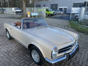 Immagine 6/50 di Mercedes-Benz 280 SL (1969)