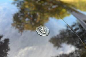 Image 16/47 of Jaguar XJ-S 3.6 (1988)