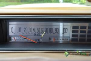 Immagine 41/50 di Buick Electra 225 Hardtop (1976)