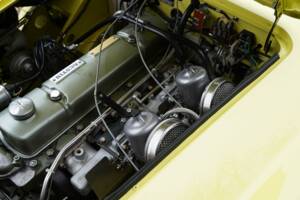 Bild 22/50 von Austin-Healey 3000 Mk I (BN7) (1960)