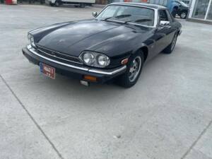 Immagine 3/8 di Jaguar XJ-S 3.6 (1984)