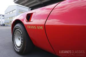 Bild 16/64 von Pontiac Firebird TransAm (1976)