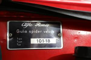 Bild 25/50 von Alfa Romeo Giulia 1600 Spider Veloce (1965)