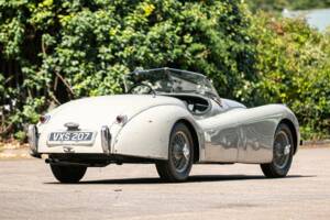 Bild 15/48 von Jaguar XK 120 C (C-Type) (1952)
