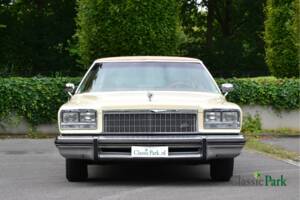 Image 8/50 de Buick Electra 225 Hardtop (1976)