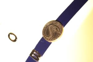 Image 46/57 of AC Cobra 427 (1965)