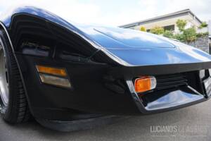 Image 31/58 de Chevrolet Corvette Sting Ray (1979)