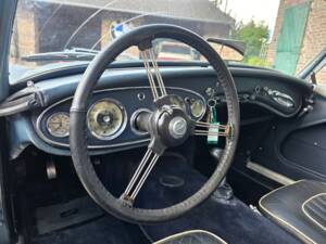 Immagine 11/34 di Austin-Healey 3000 Mk I (BT7) (1960)