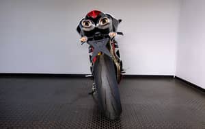 Image 79/98 of Ducati 1098 R (2010)
