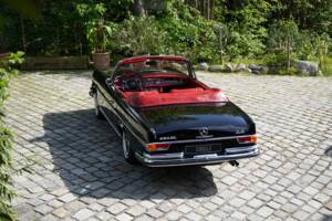 Imagen 28/53 de Mercedes-Benz 280 SE 3,5 (1970)