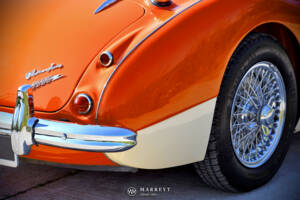Bild 37/40 von Austin-Healey 3000 Mk I (BN7) (1959)