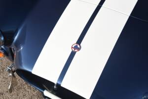 Image 23/50 de AC Cobra 427 (1999)