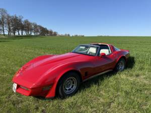 Image 1/20 of Chevrolet Corvette Sting Ray (1980)