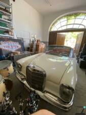 Image 49/77 of Mercedes-Benz 250 SE (1966)