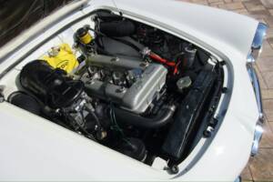 Bild 21/30 von Alfa Romeo Giulietta Spider (1961)
