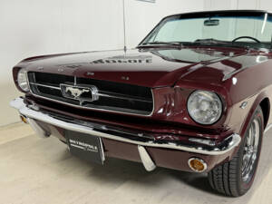 Immagine 8/25 di Ford Mustang 260 (1965)