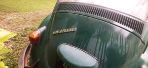 Bild 9/11 von Volkswagen Käfer 1300 (1969)