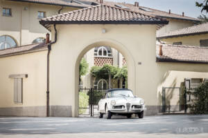 Bild 8/71 von Alfa Romeo Giulietta Spider (1960)