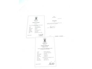 Bild 7/50 von Maserati Bora 4900 (1973)