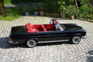 Imagen 48/53 de Mercedes-Benz 280 SE 3,5 (1970)