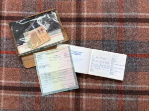 Image 11/24 of Mercedes-Benz 250 (1971)