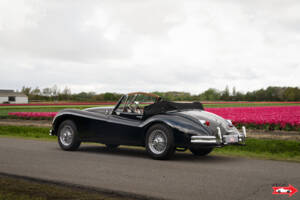 Immagine 6/47 di Jaguar XK 140 DHC (1956)