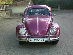 Image 1/15 de Volkswagen Coccinelle 1200 Standard &quot;Oval&quot; (1956)