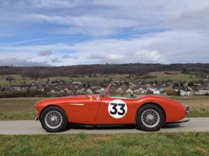 Bild 3/24 von Austin-Healey 100/4 (BN1) (1955)